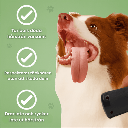 MjukPäls™ – Hundborste som stoppar fällning och håller hemmet rent