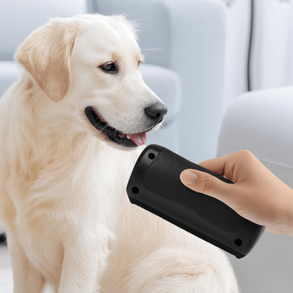 MjukPäls™ – Hundborste som stoppar fällning och håller hemmet rent